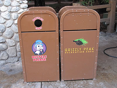 Disneyland Evironmental Impact